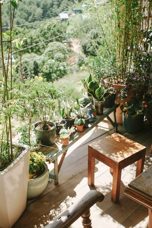 Tips for Creating a Relaxing Home Garden Space on a Budget